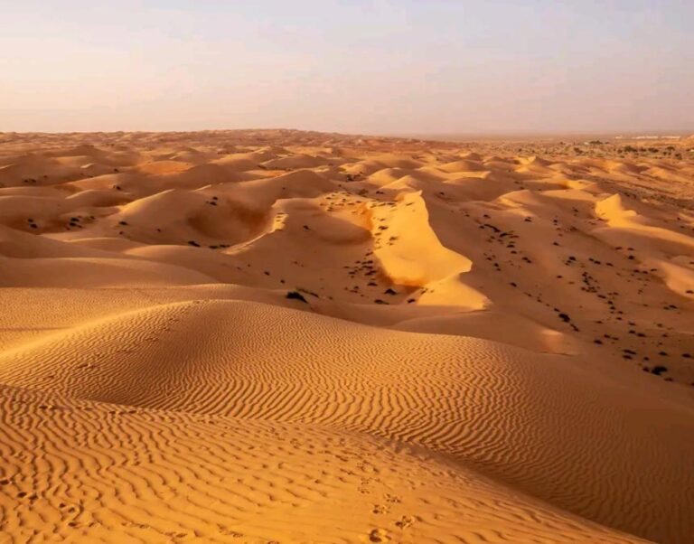 wahiba sands