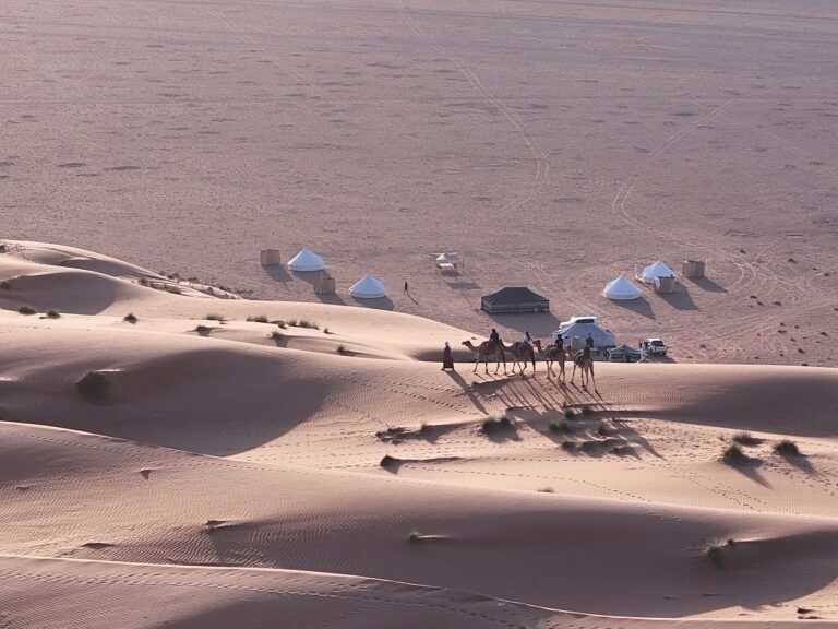 the Desert EXPERIENCES